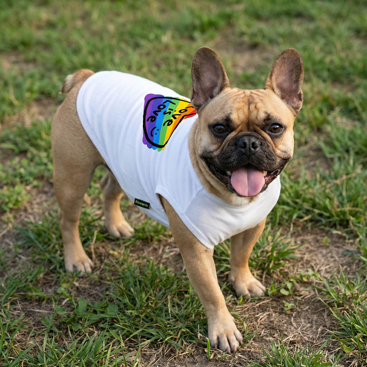 French Bulldog wearing a colorful dog tank top with 'love is love' lettering