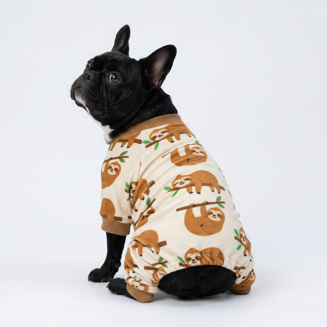 Black French Bulldog in a cozy dog pjs with funny sloth prints
