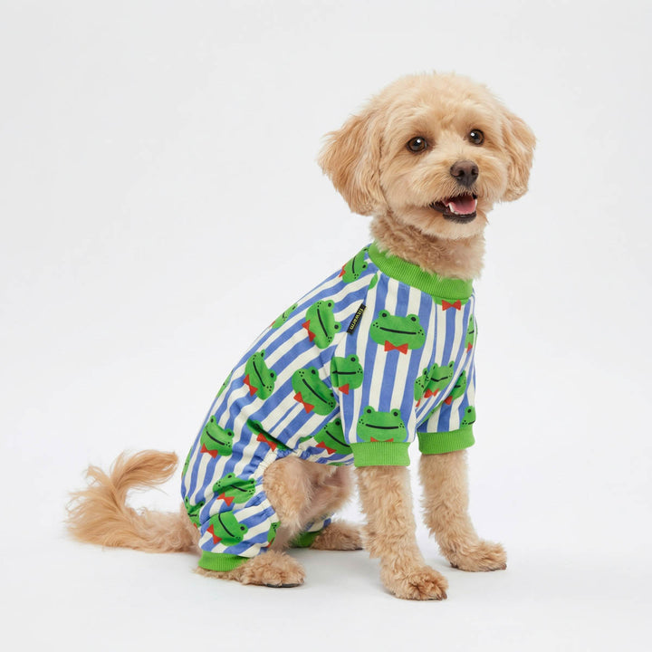 Small dog wearing a frog-themed pajama for dogs with stripes on a white background