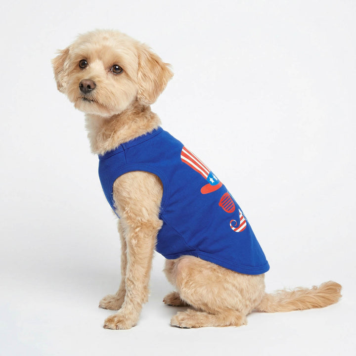 Dog wearing a blue shirt for dogs with red and white graphics on a white background