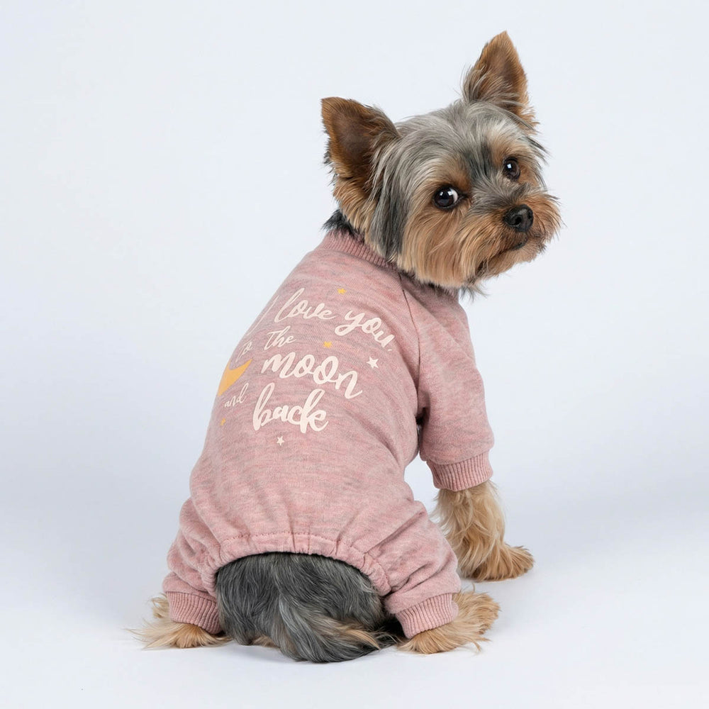 Yorkie in a dog pajamas with 'I love you to the moon and back' lettering