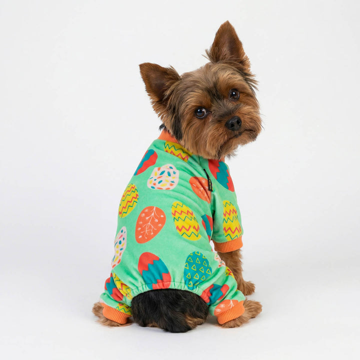 Small dog wearing Easter eggs dog pjs with colorful egg prints