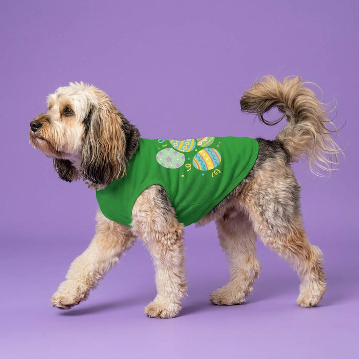 Dog walking on a purple background with a green dog shirt with Easter eggs 
