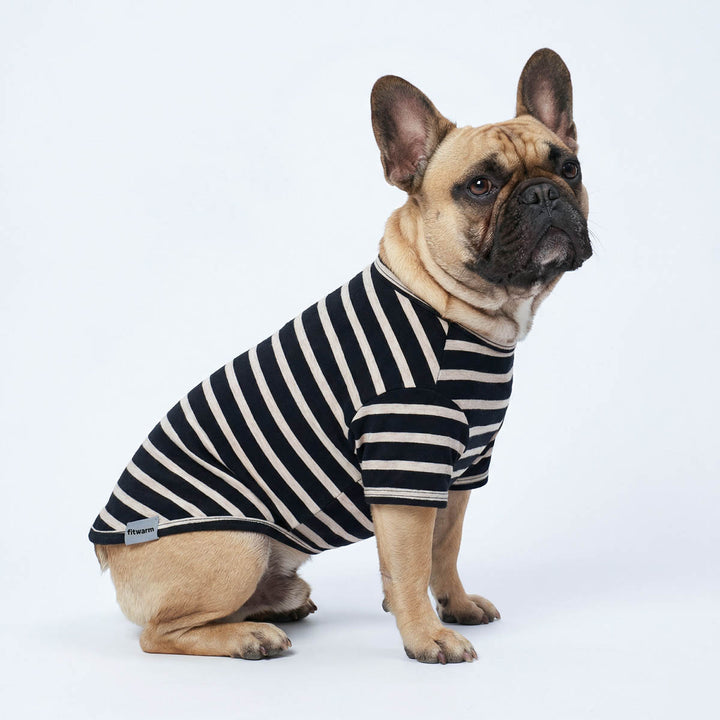 Classic black and white dog shirt dressed in a French Bulldog