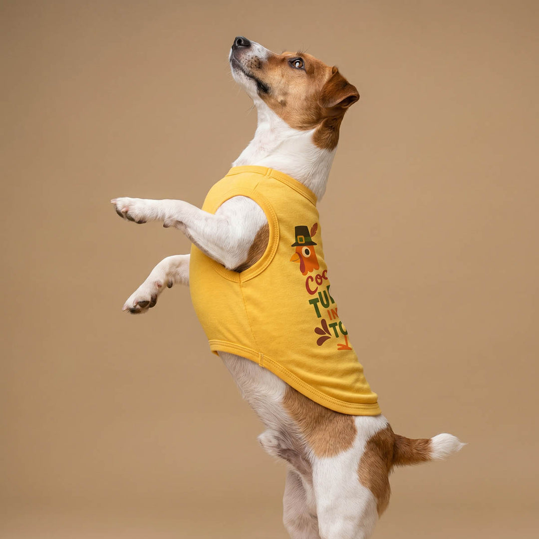 Small brown and white dog wearing a yellow sleeveless dog tank top with a turkey graphic and the words 'Coolest Turkey in the town'