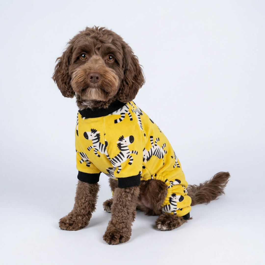 Dog wearing a yellow dog pjs with zebra pattern on a white background