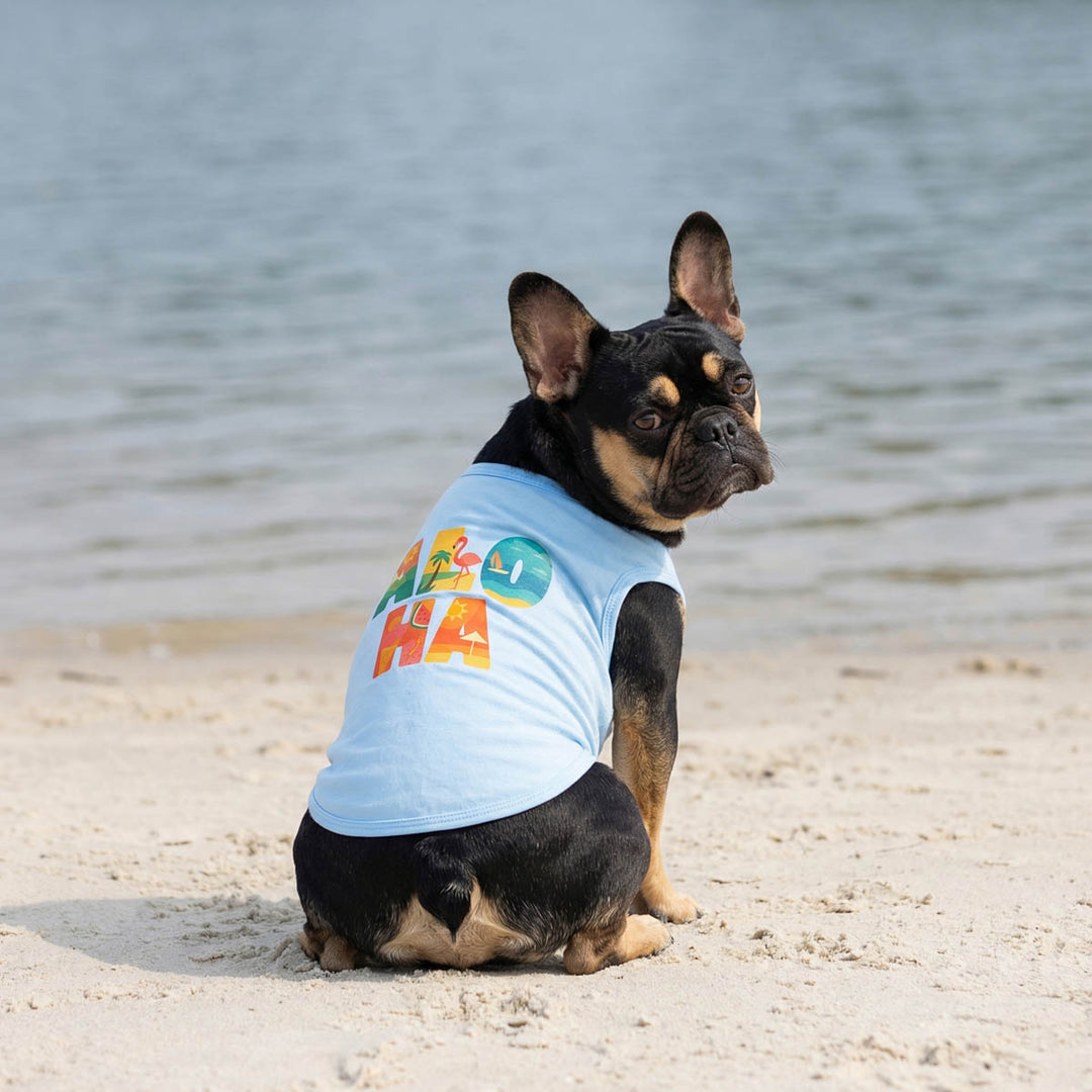 Dog looks back in a Hawaiian themed dog shirt on the beach