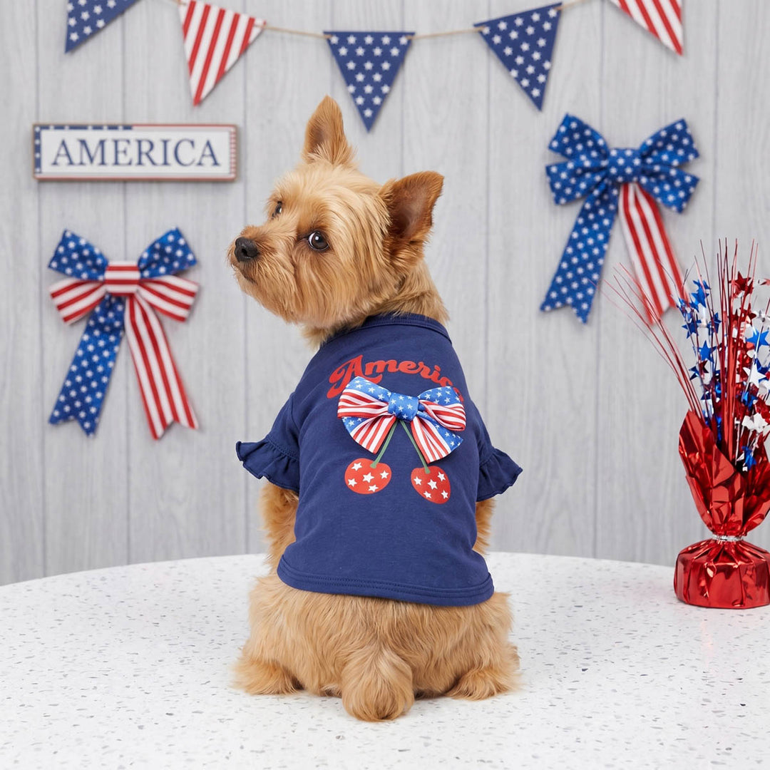 Yorkie looks back with a dog patriotic shirt with 'America' lettering and bow