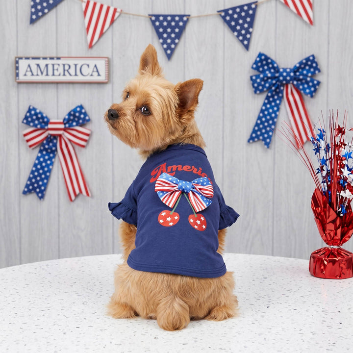 Yorkie looks back with a dog patriotic shirt with 'America' lettering and bow