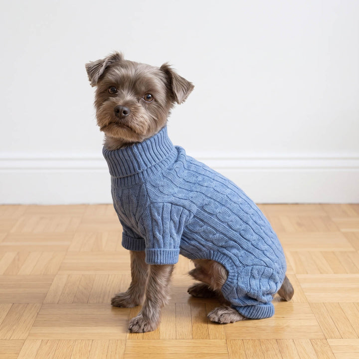 Small dog wearing a knitted dog onesie and sitting on a wooden floor