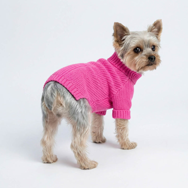 Yorkie in a pink knitted sweater for dogs