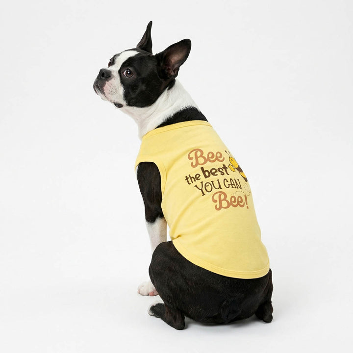 Boston Terrier wearing a yellow dog shirt with 'Bee the best you can bee' lettering on a white background