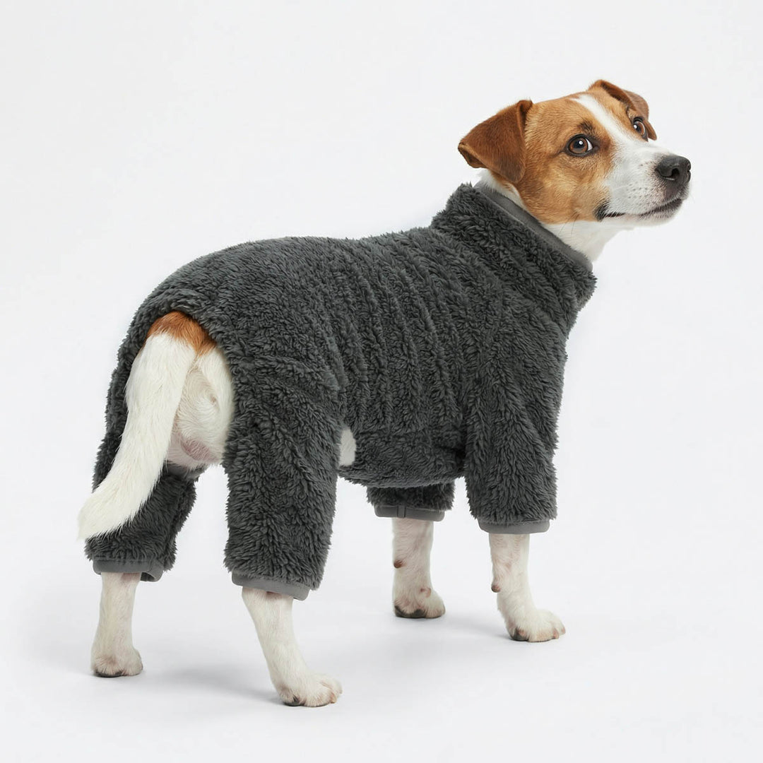 Jack Russell wearing a collared neck gray dog fleece pajamas on a white background