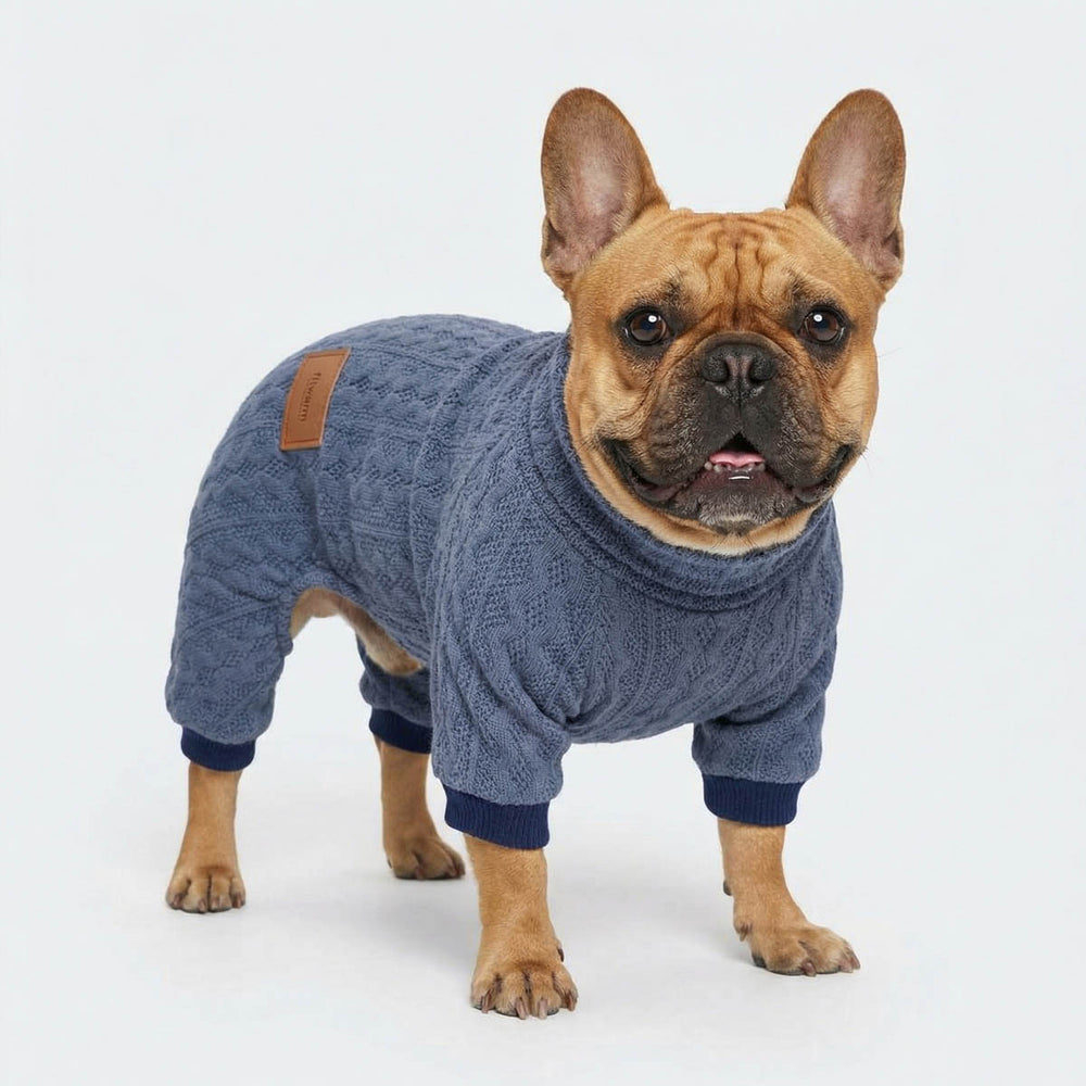 French Bulldog stands with a cozy dog knitted pajamas