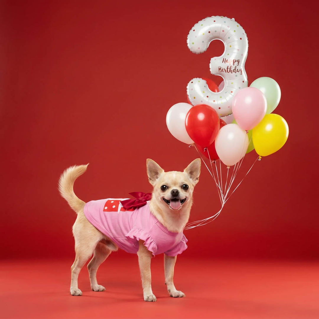 Pink dog shirt with gift box print, ruffled sleeves, and red bow, holding birthday balloons.