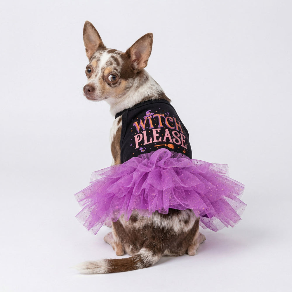 Chihuahua looks back with a Halloween dog tutu with 'Witch Please' lettering