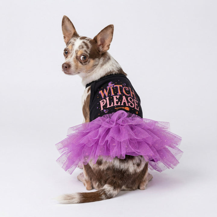 Chihuahua looks back with a Halloween dog tutu with 'Witch Please' lettering