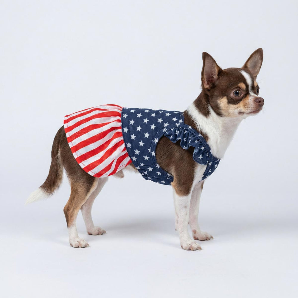 Standing dog in patriotic dog dress with stars and stripes skirt