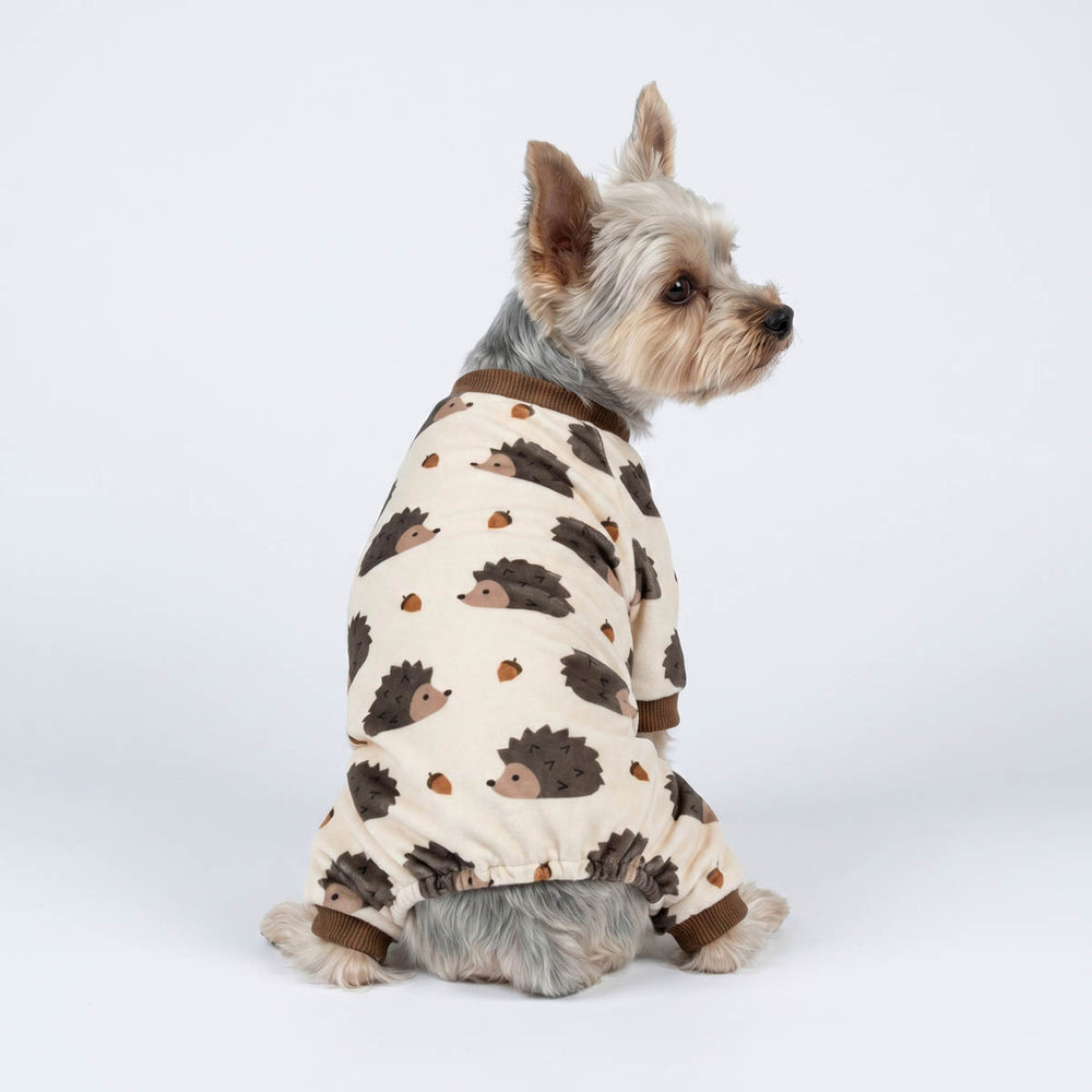 Yorkie wearing a hedgehog prints pajamas for dogs