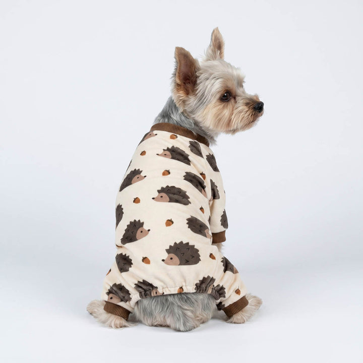 Yorkie wearing a hedgehog prints pajamas for dogs