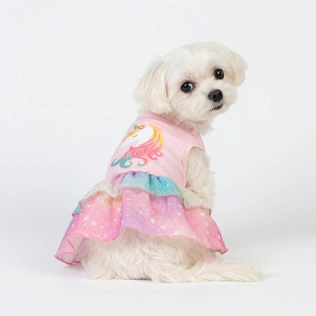 Small white dog wearing a colorful unicorn-themed dress for dogs on a white background