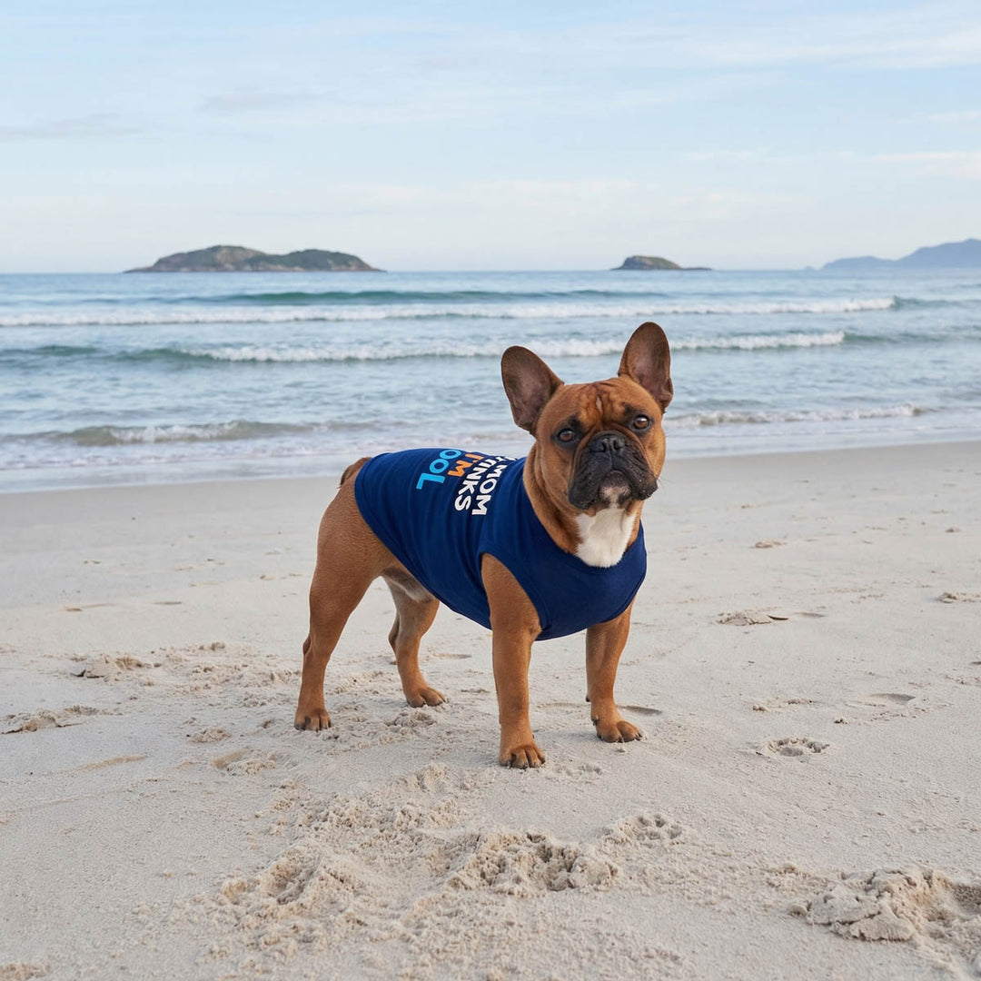Dog wearing a blue shirt for dogson a sandy beach with ocean and sky in the background