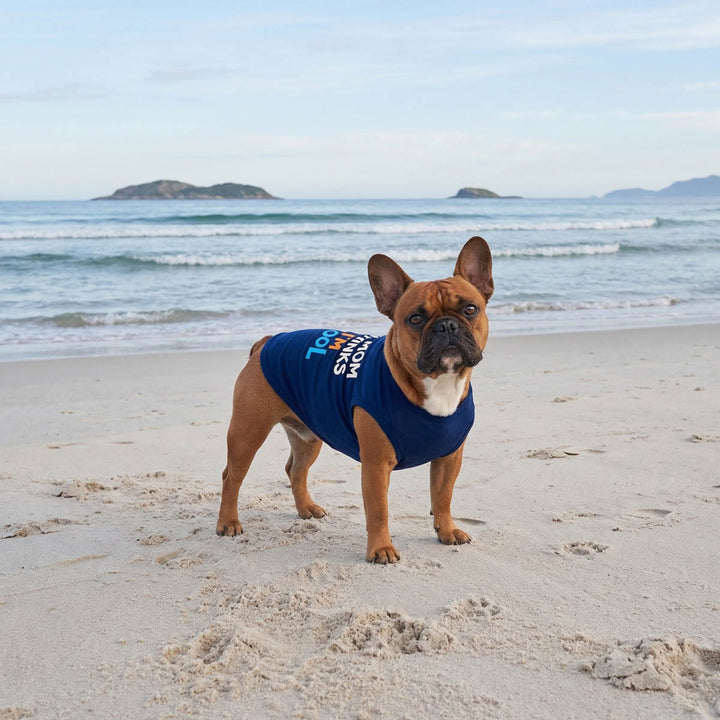 Dog wearing a blue shirt for dogson a sandy beach with ocean and sky in the background