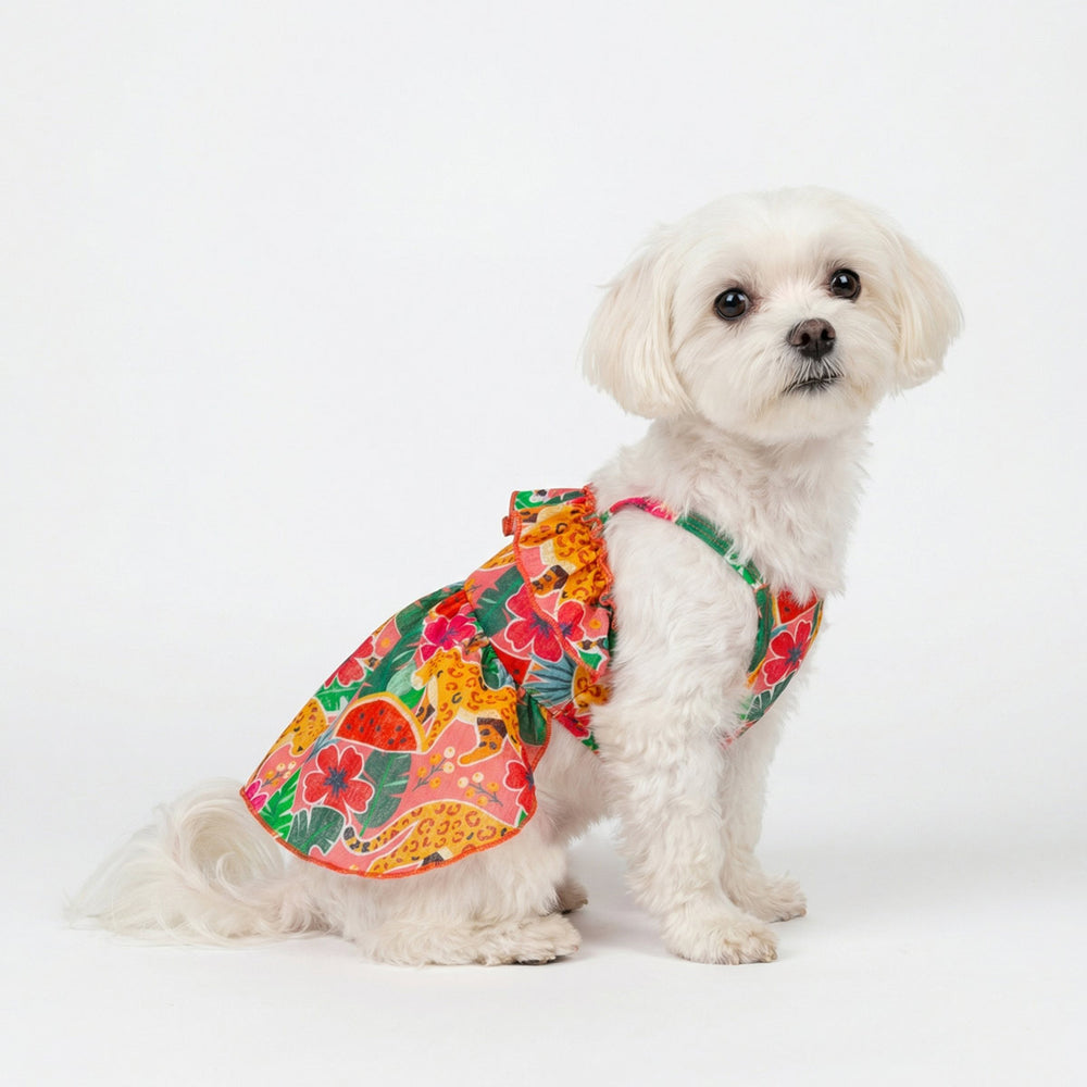 Small dog sitting on the ground with a tropical planet prints dog Hawaiian dress