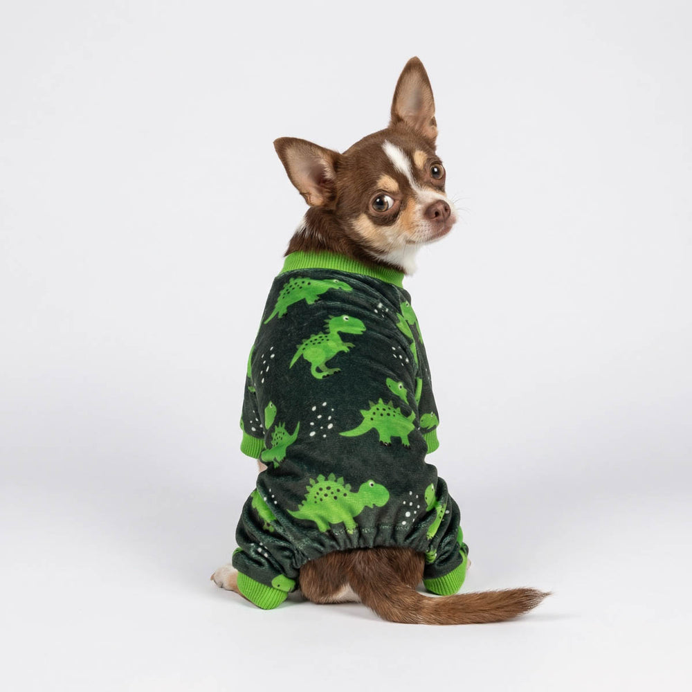 Back view of a Chihuahua in a green dog jammies with a dinosaur prints