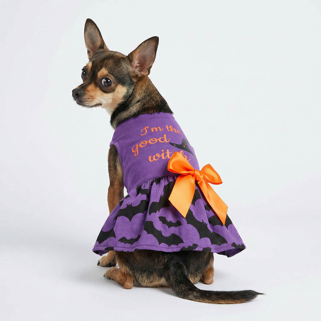 I Am The Good Witch Halloween Dress I Am The Good Witch Halloween Dress