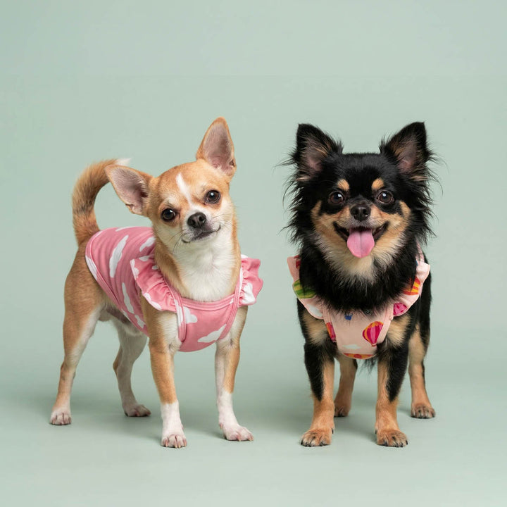 Two small dogs wearing pink dog shirts on a light green background