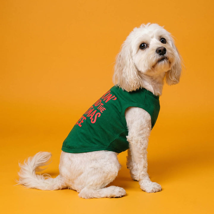 Small white dog wearing a green sleeveless dog Christmas shirt with red text that reads 'Barkin Around the Christmas Tree' sits against a solid orange-yellow studio background