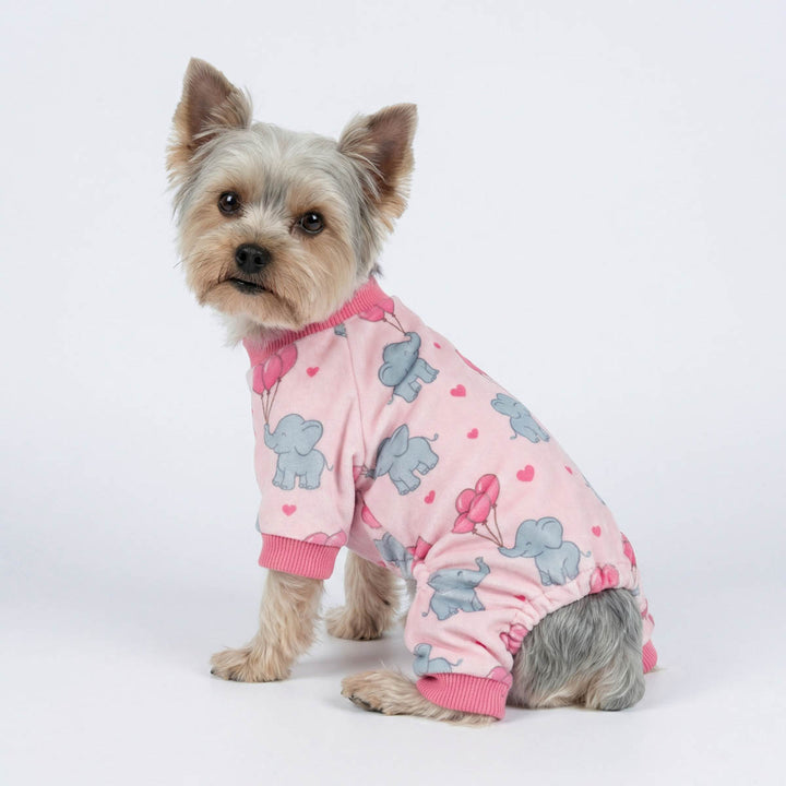 Small Yorkie in a sweet elephant dog pajamas