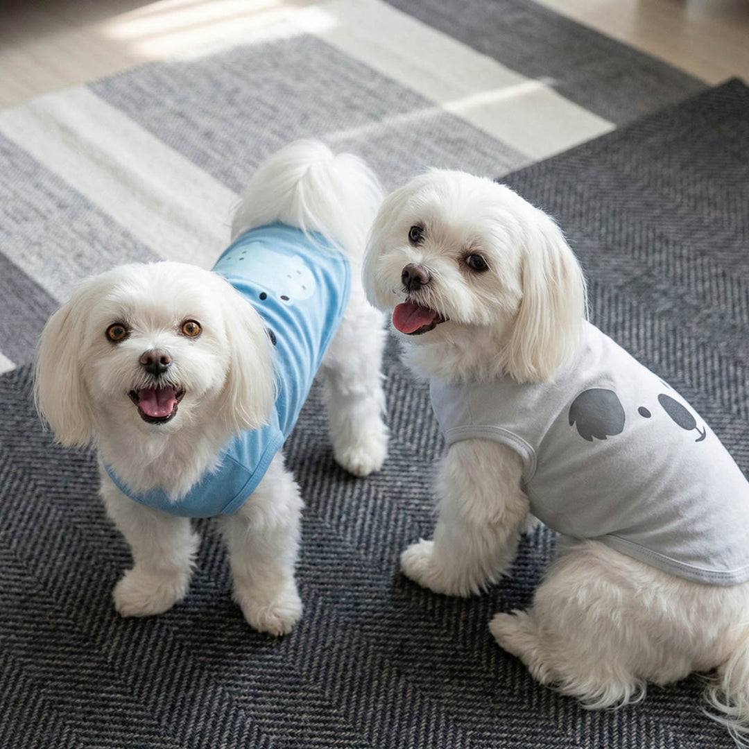 Two small white dogs wearing cute dog tank tops with hippo and koala faces on a checkered floor
