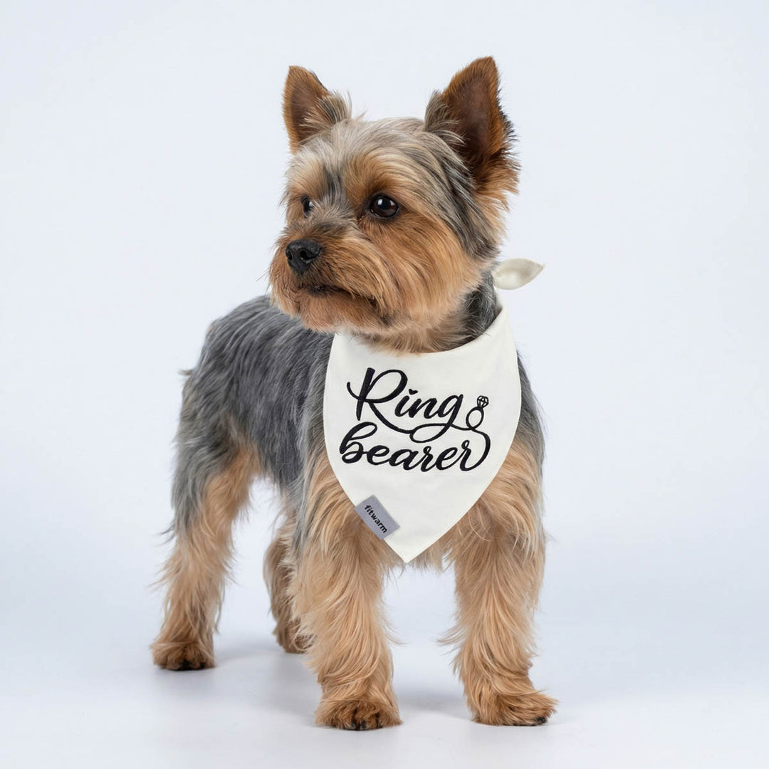 Small dog wearing a white dog bandana with “Ring Bearer” lettering