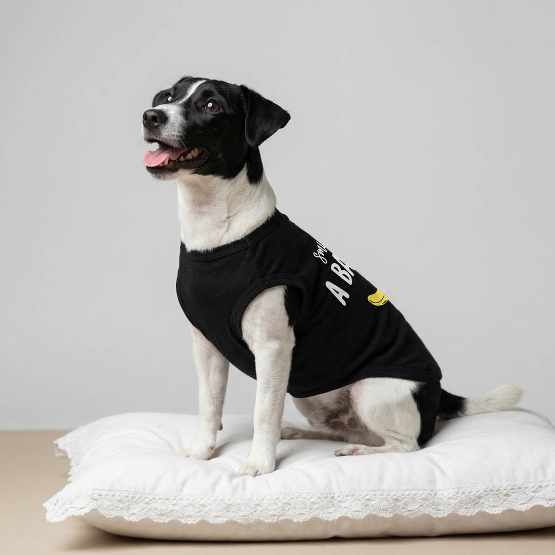 Dog sitting on a pillow with a black dog tank top