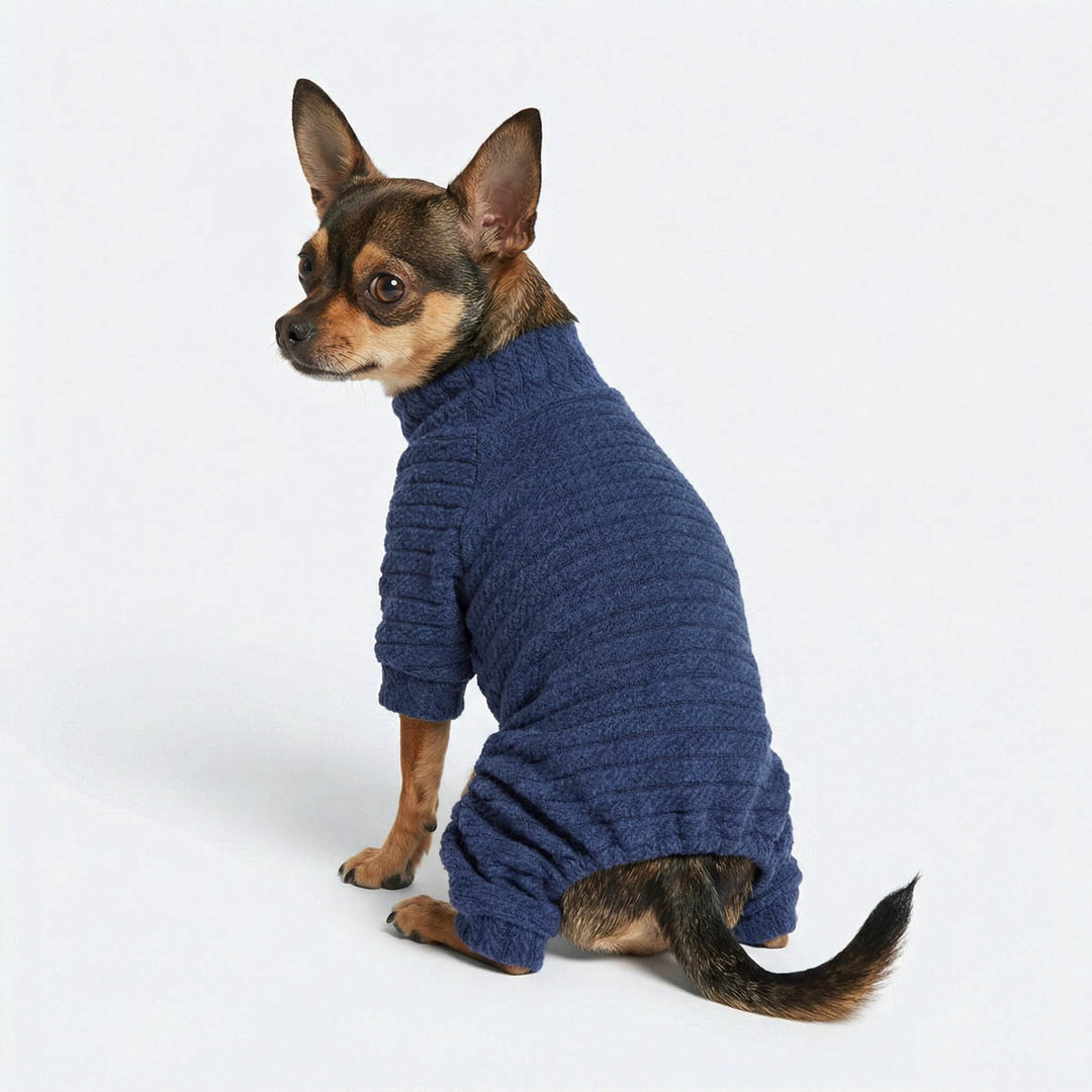 Small Chihuahua wearing a blue knitted dog pjs on a white background