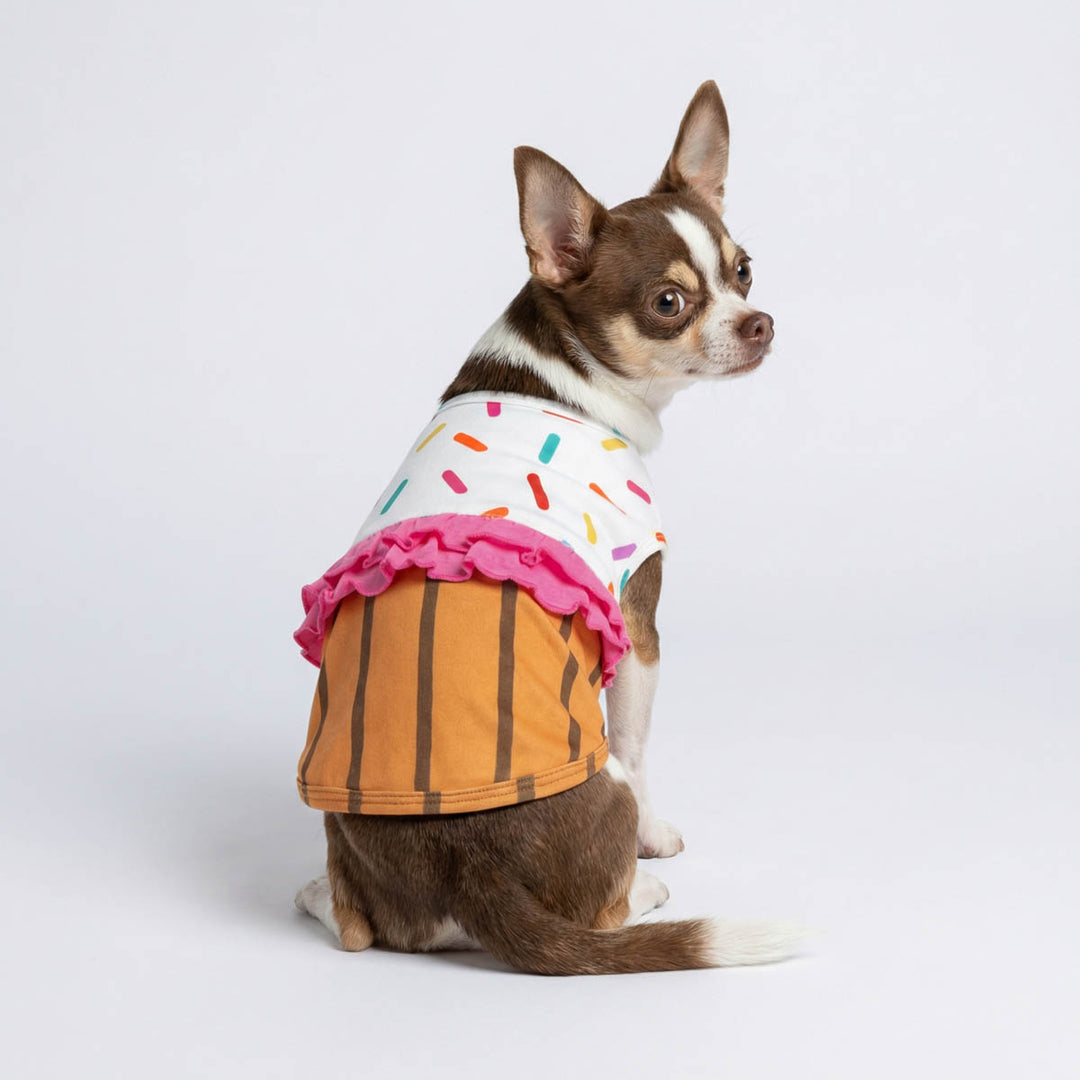 Chihuahua dressed in a cupcake dog costume featuring pink ruffles and striped base
