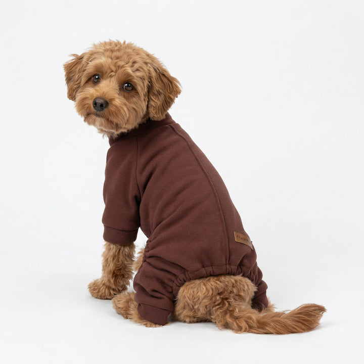 Dog wearing solid brown dog pajamas in a clean studio setting