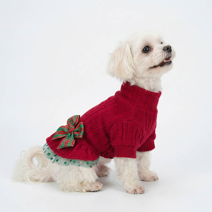 Small white dog wearing a red dog sweater dress with a green bow on a white background