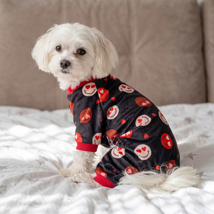 Small dog wearing a dog Valentine onesie and sitting on the bed