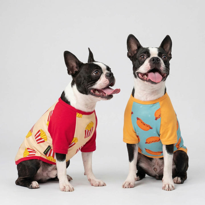 Two Boston Terriers looking at difference directions with funny French fry and hot dog prints dog tshirts