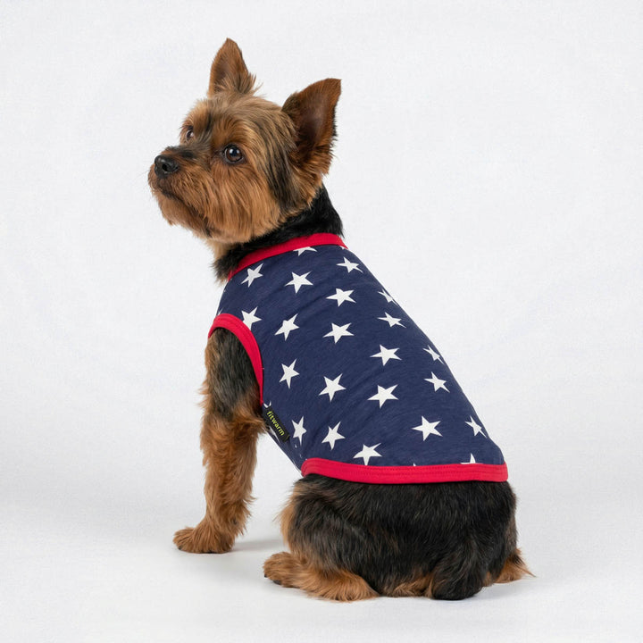 Yorkie in a patriotic dog tank top and sitting