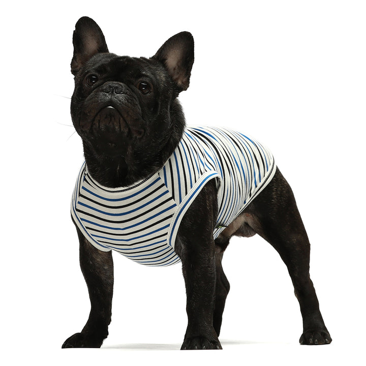 Striped Dog Tank Tops in Red and Blue - Fitwarm Dog Clothes