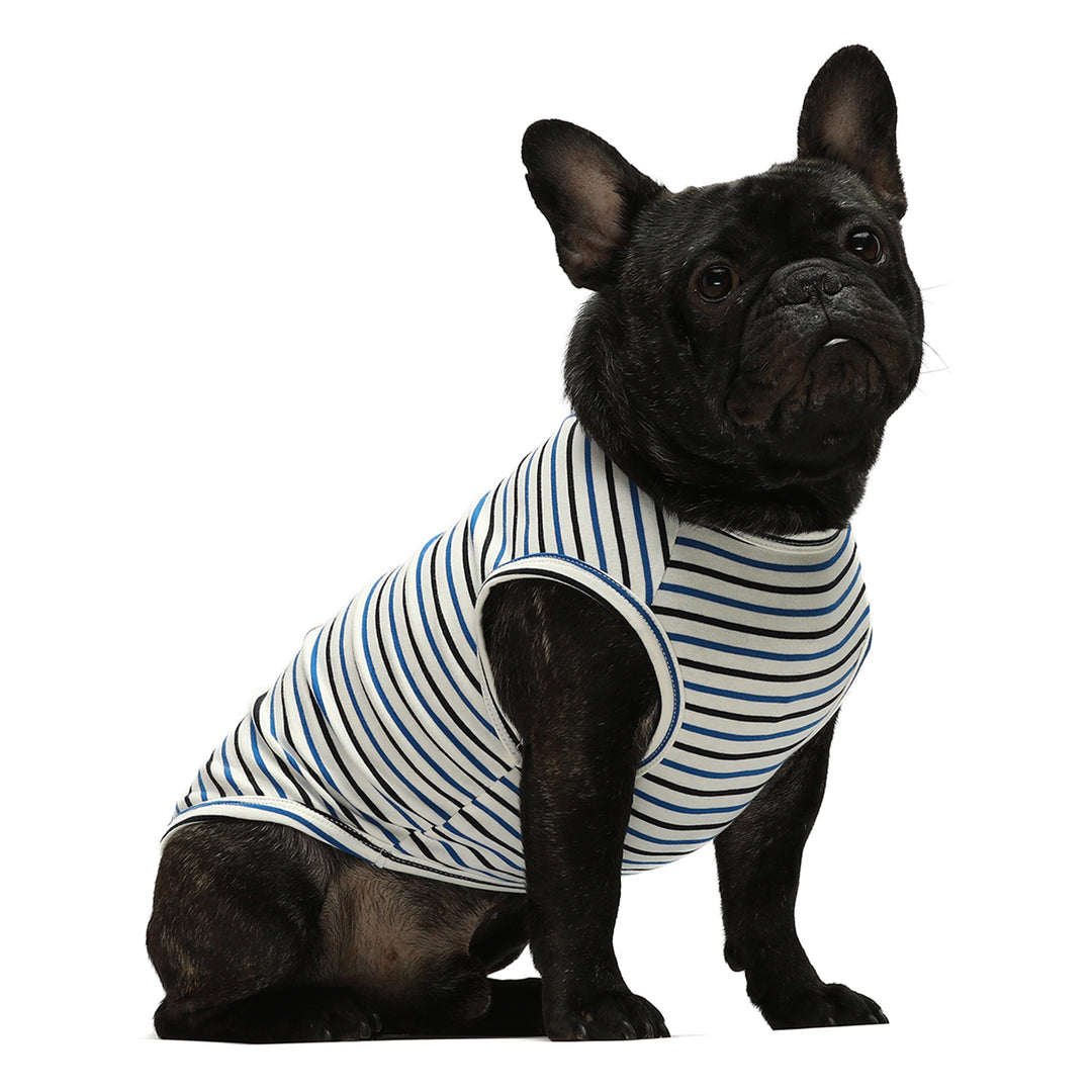 Striped Dog Tank Tops in Red and Blue - Fitwarm Dog Clothes