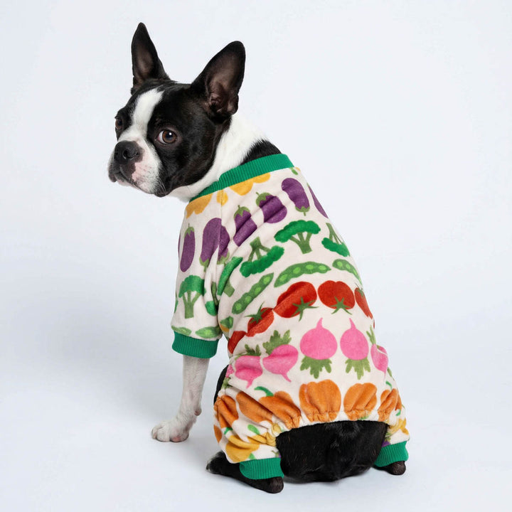 Boston sitting in dog pjs featuring playful vegetable patterns and bright colors
