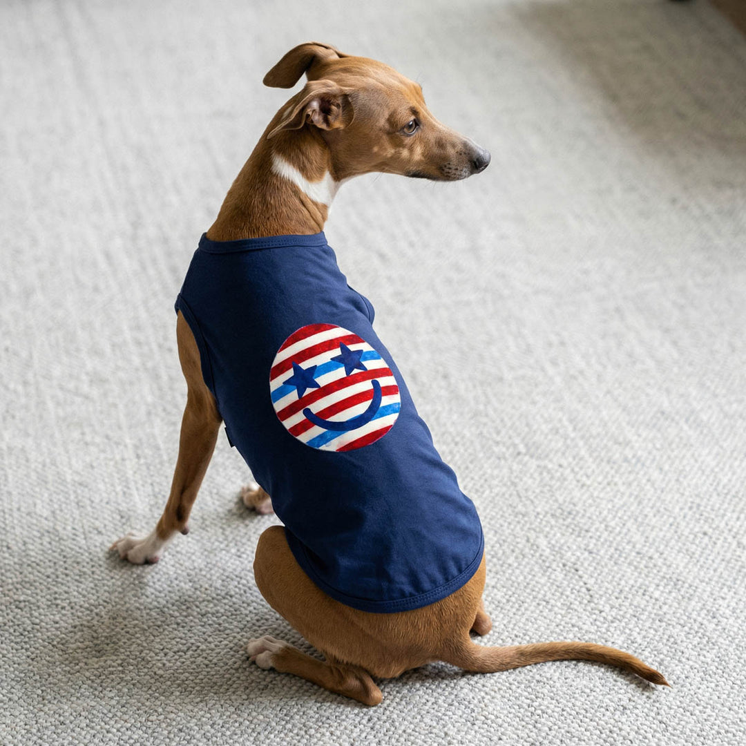 Italian Greyhound sitting with 4th of July shirt for dogs