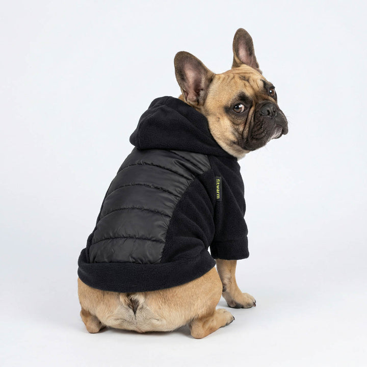 French Bulldog wearing a thermal hoodie for dogs 