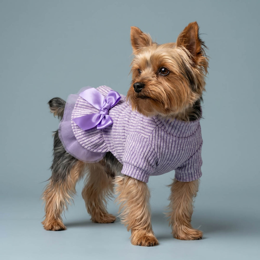 Yorkshire Terrier dog wearing a lavender ribbed knit dress for dogs with a large matching bow, standing against a solid light blue-gray studio background