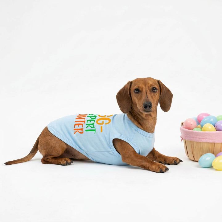 Dachshund wearing a light blue dog Easter t-shirt with colorful text, lying next to a basket of Easter eggs on a white background.